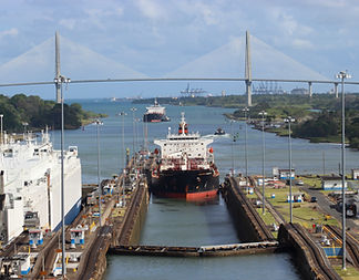 Image by Alex Pagliuca